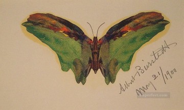 蝶の発光主義 アルバート・ビアシュタット Oil Paintings